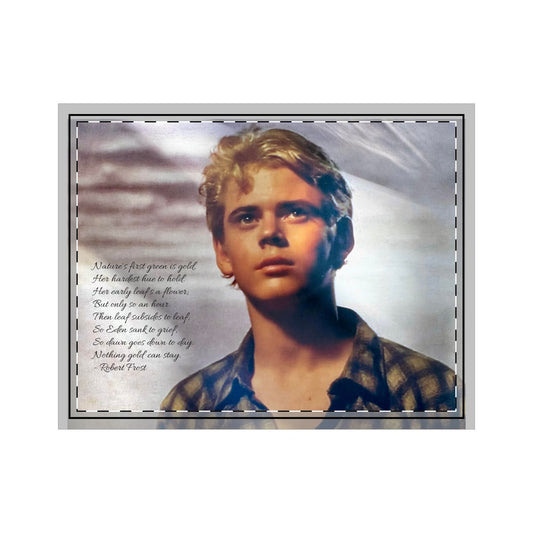 Ponyboy Portrait Cotton Pillow Sham with Poem — Nostalgic Decorative Pillowcase
